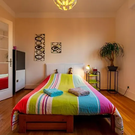 Large In Apartamento Estrasburgo