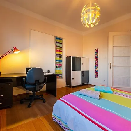 Large In 公寓 斯特拉斯堡