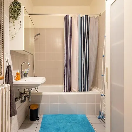 Large In 公寓 斯特拉斯堡