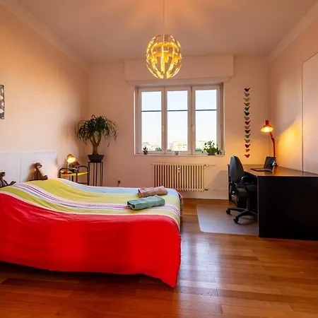 Large In 公寓 斯特拉斯堡